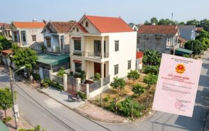 Read more about the article Phân biệt đất thổ cư và đất nông nghiệp: Tránh nhầm lẫn khi đầu tư